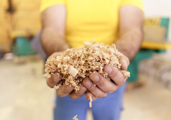 handful-dry-technological-wood-chips-selective-focus-sawdust (1) handful-dry-technological-wood-chips-selective-focus-sawdust (1)